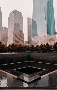 high-rise building beside tree thumbnail