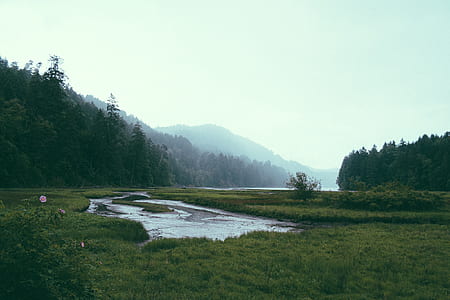 green plain with body of water thumbnail