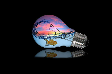white light bulb thumbnail