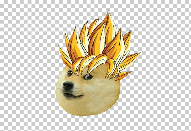 Download Doge Head Png | PNG & GIF BASE
