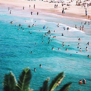 people swimming on the sea thumbnail