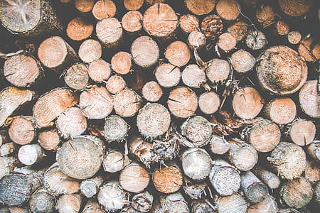 Photo of a Pile of Logs thumbnail