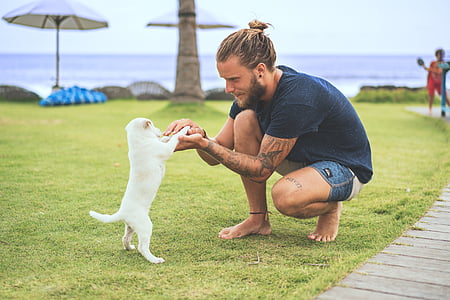 man playing with white puppy on grass field thumbnail