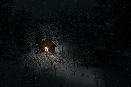 photo of brown wooden house near trees during winter thumbnail