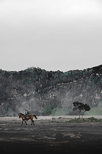 man riding horse traversing near mountain at daytime thumbnail