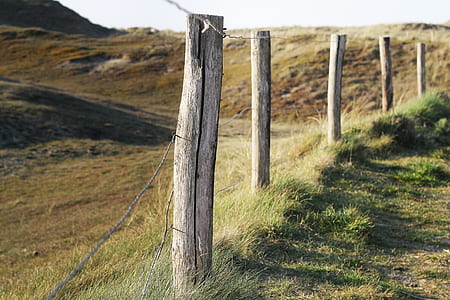 brown wooden fences thumbnail