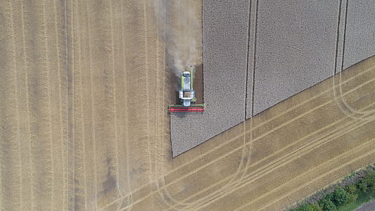 agriculture, farming, harvest, field thumbnail