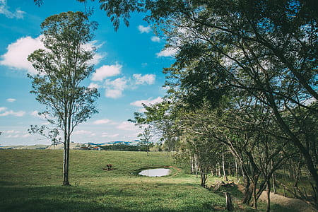 dawn, landscape, nature, sky thumbnail