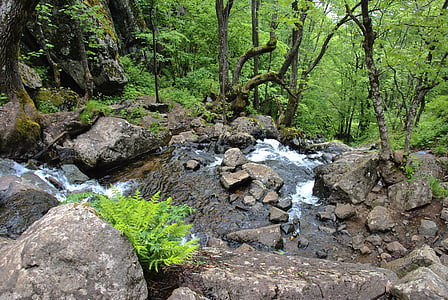 landscape photography of river stream thumbnail