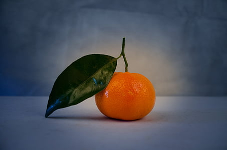 orange fruit on white panel thumbnail