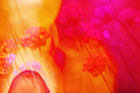 orange, maroon, and yellow floral textile thumbnail