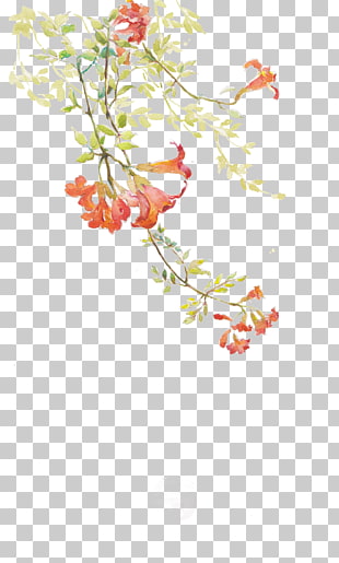 Watercolor painting , Antiquity beautiful watercolor illustration, red flower painting PNG clipart