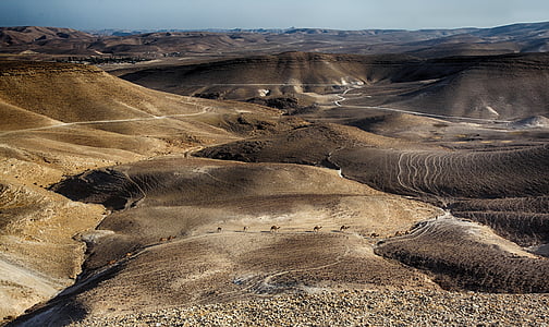 desert during daytime thumbnail