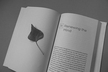 Renewing the Mind book page thumbnail
