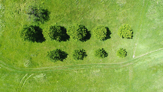 top view of green grassy field thumbnail