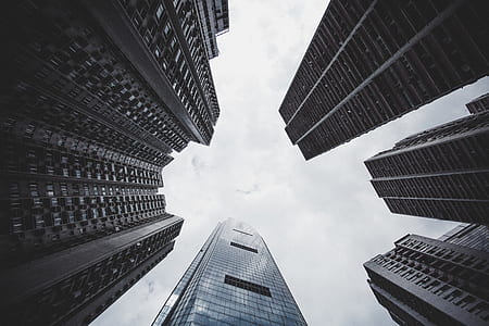 low angle photography of high rise buildings thumbnail