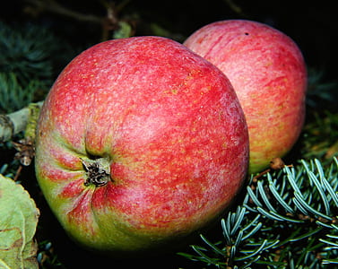 two round red fruits close up photography thumbnail