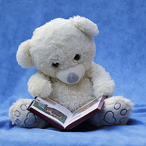 white teddy bear with brown book thumbnail