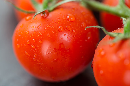 Closeup shot of fresh tomatoes thumbnail