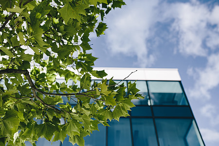 Office building windows and blue sky thumbnail