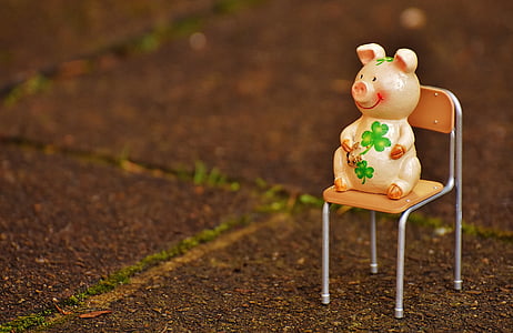 white pig figurine on chair thumbnail