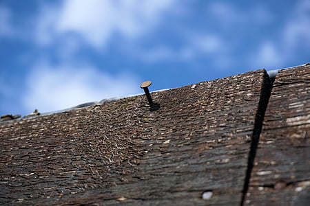 macro photography of nail in wood plank thumbnail