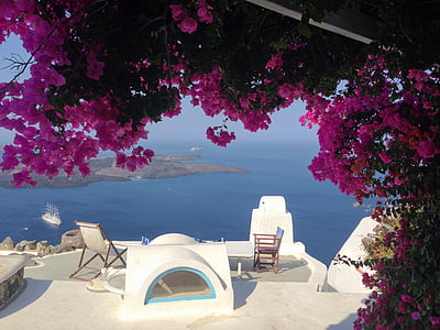 green tree with purple flowers above patio set thumbnail