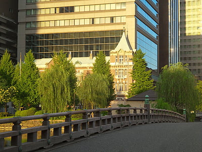 pile of green trees beside beige architecture thumbnail