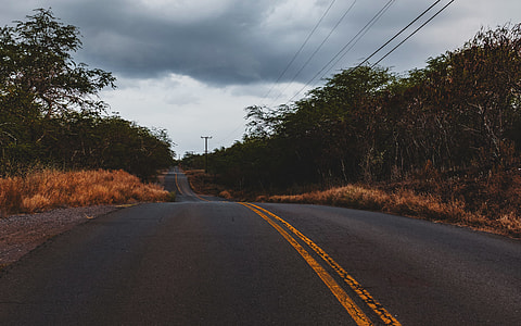 trees on roadside under cloudy sky at daytime thumbnail