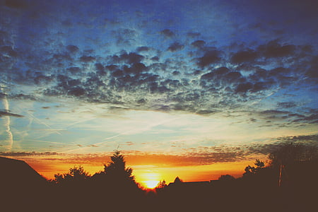 silhouette trees thumbnail