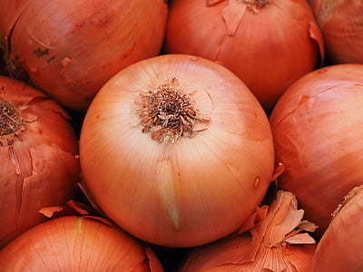 selective focus photography of onions thumbnail