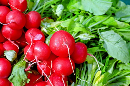 red Beetroot thumbnail