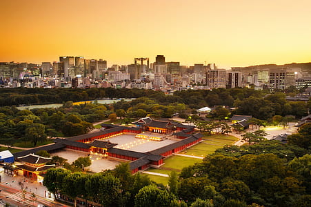 red and black Eastern temple during dawn thumbnail