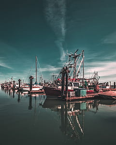 yachts docked on pier thumbnail