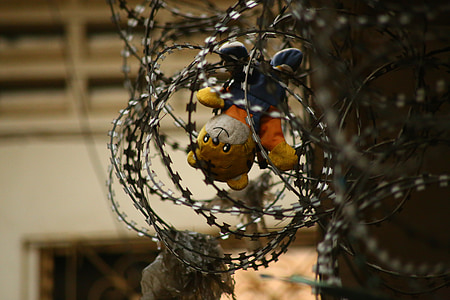 brown bear plush toy on barb wire thumbnail
