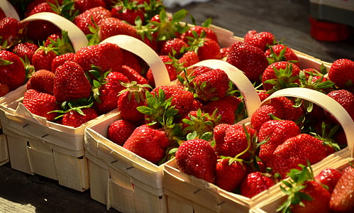 several basket of strawberry fruits thumbnail