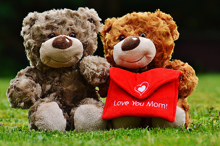 two bear plush toys on green grass thumbnail
