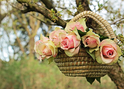 pink flowers in brown wicker basket on tree branch thumbnail