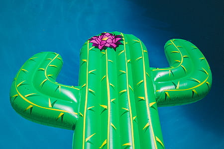 green cactus pool float thumbnail
