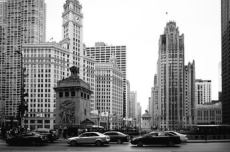 Grayscale Photo Of High-rise Buildings thumbnail