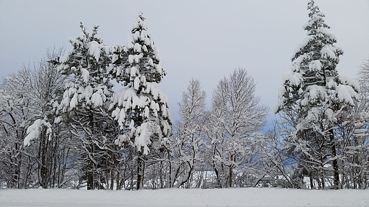 Winter, Winter Landscapes thumbnail