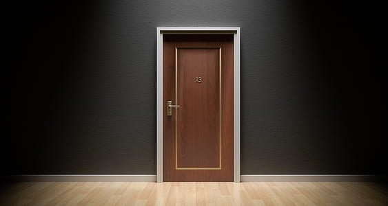 brown wooden flush door closed thumbnail