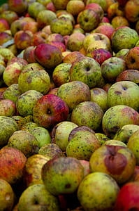 green and red fruits thumbnail