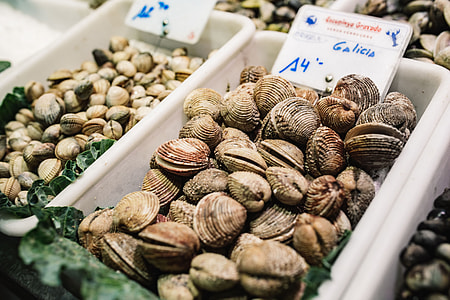 La Boqueria food market Barcelona Spain thumbnail