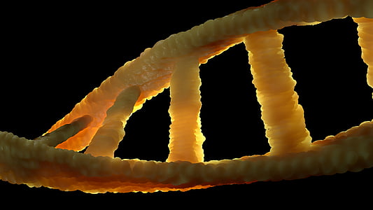 macro photography of DNA thumbnail