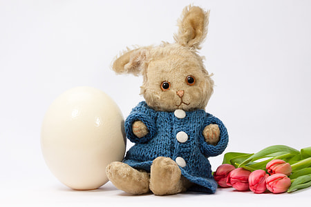 egg near plush toy photo thumbnail