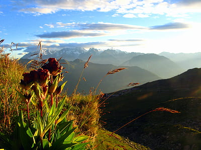 photography of mountain thumbnail