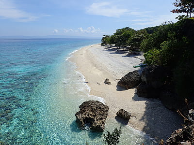 aerial photo of seashore near green leafed trees during daytime thumbnail