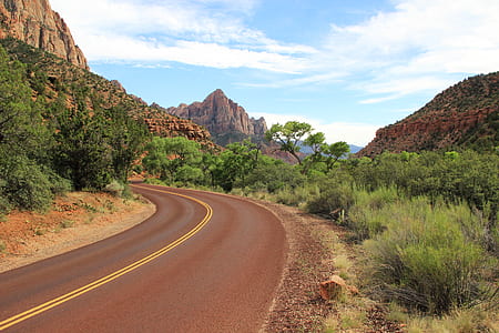 roadway in between green grass and trees thumbnail