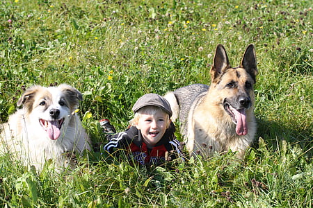 kid lying on grass with two dogs thumbnail